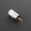 Gold 1-inch Blade Plug